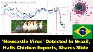 'Newcastle Virus' Detected in Brazil, Halts Chicken Exports, Shares Slide