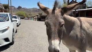 Laughlin, Nevada - Oatman, Arizona - Colorado River