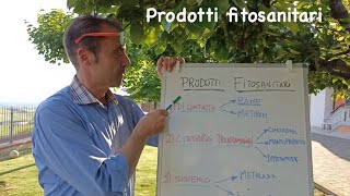 TRATTAMENTI della VITE: come usare i prodotti fitosanitari 🌱