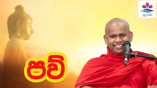 පව් /paw /welimada saddhaseela thero