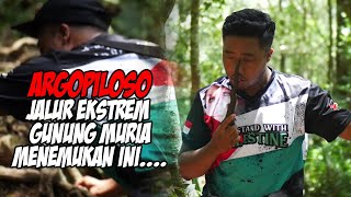 GAGAL TOTAL !!! Mengejar Energi Pusaka Sampai Puncak Muria, Ternyata Hasilnya Ini