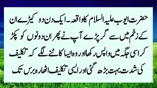 Story Of Hazrat Ayub AS In Urdu | Hazrat Ayub AS Ka Waqia | Islamic Urdu