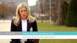 A Seedling Trust - Csemete Alapítvány kezdeményezései