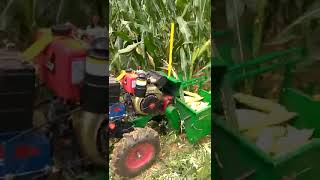 Strong Maize Harvester