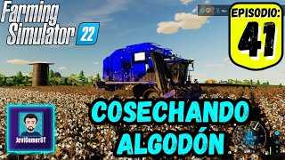 Nos toca cosechar algodón | Ep. 41 | Haut-Beyleron - Farming 22 PC