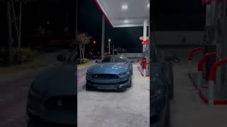 Ford Mustang GT cavalos true need for speed