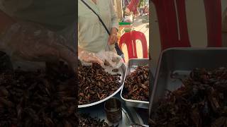 Eating crickets/cockroaches in Cambodia #shorts #shortvideo #phnompenh #cambodia #travel #eating