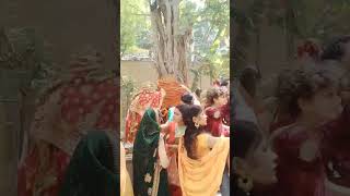 Sanatan Dharam Mandir || Shive Temple || Hindu Temple In Delhi #shorts