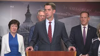 Tom Cotton to step in as Senate GOP Conference Chair