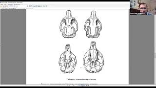 Первая часть видеоразбора по биологии - вопросы теоретического тура и практикум 9 класса.