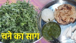 Chane Ka Saag | Chane KI Bhaji | Village Style Chane ka Saag Recipe | चने का साग |