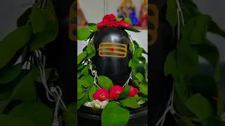 Om namah shivay 🙏🌺 comment me har har Mahadev likhiye 🙏🕉️ Jai bhole nath baba ❤️❤️ Har Har Mahadev 🔱