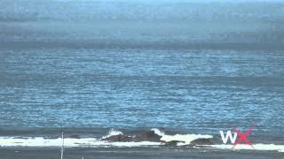 Mavericks Surf Report October 13, 2014