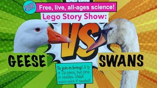 Lego Show: Geese verses Swans!