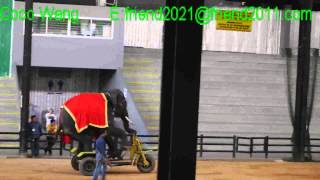 Elephant riding bike...