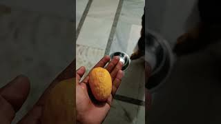 German shepherd eating mango #viral #trending #ytshorts #music #viralvideo #shorts #short