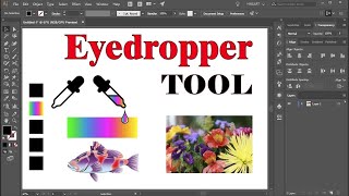 eyedropper illustrator Tool | Smart Techno SR