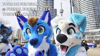 FURRIES in DOWNTOWN TORONTO?? - 4K HDR - Furnal Equinox 2024: Tour de Fur Walk