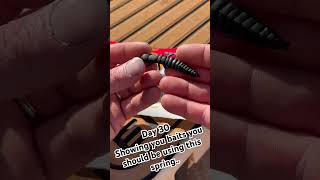 Day 30 showing you baits you should be using this spring.