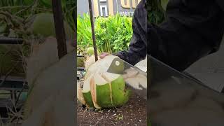 Huge and green coconut cutting skills. #streetfood #satisfying #coconut #shorts #viralvideo