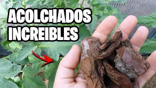 7 ACOLCHADOS NATURALES para tus PLANTAS ¡Te Sorprenderán! | La Huerta de Ivan