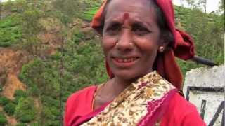 Destination Unknoan The Tea Plantations of Sri lanka Episode 8