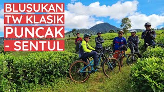 Nyaris turunan semua! Gowes blusukan Puncak - Sentul rute TW Klasik, MTB & gravel! Polygon Siskiu N9