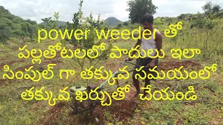 power weederto seeni chetlallo padulucheyatam