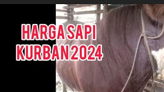 HARGA SAPI KURBAN TAHUN 2024 DI KANDANG