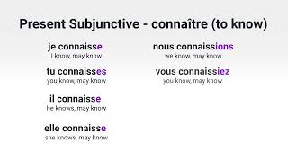 What Is the Present Subjunctive of 'connaître' ('to know') in French?