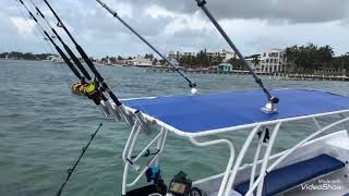 Deep sea fishing turns to a reef fishing trip