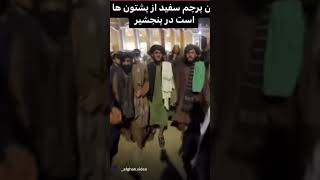 سپین رنگه بیرق ده پشتنو دی، سرود تازه طالبان!