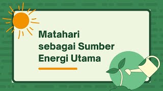 Matahari sebagai Sumber Energi Utama: Fotosintesis