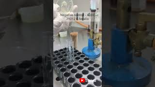 #catalase test #biochemical #biology#microbiology #science #tjbiologist #modi #lakshadweep #trending