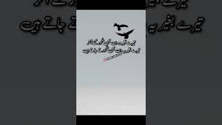 Best Urdu Poetry Urdu Shayari Sad Status Video 2023