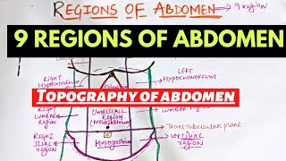 Regions of Abdomen | 9 abdominal regions | Suyash shukla