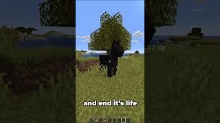 The Minecraft Horse #shorts