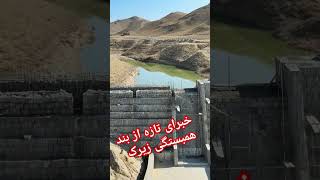 بند همبستگی زیرک انقریب رو به اتمام است #jaghorimedia #rescue #ghazni