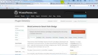 WooCommerce Smart Sale Badge Plugin Tutorial