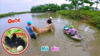 Mùa Nước Trổ Đồng Bắt Được Rất Nhiều Mồi Ngon Và Tin Vui - Chim Quốc Đã Nở Rồi / Quế Nghịch