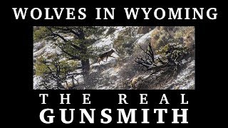 Wolves in Wyoming – The Real Gunsmith