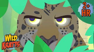 Rare Encounters with Jaguars | Full Episodes | Wild Kratts