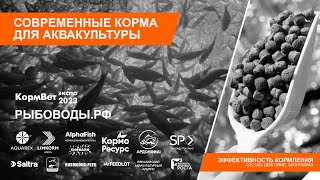 Эффективность кормления: состав, действие, экономика - Акварекс, ВНИРО, Лимкорм, АльфаФиш, Бифф.