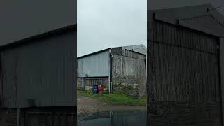 A trip through the #farmyard. #Throwley #Farm #drivethrough