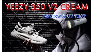 I Spilled Cream On My YEEZY | Unboxing Yeezy 350 V2 In-Depth Review W/UV Test