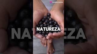 Você sabia q o açai é um superalimento!😂

IA P CRIAR VÍDEOS GRÁTIS 🚀
https://invideo.sjv.io/KjVD7x