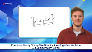 Premium Sturdy Sticky Wall Hooks: Leading Manufacturer & Exporter from China