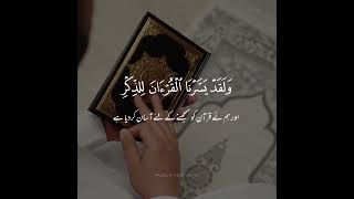 Quran Tilawat Status || Quran Whatsap Status || Quran Beautiful Recitation || @MuslimAesthetic