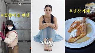 vlog. 곰팡이 가득 반지하를 얻었습니다..🦠 프렌치토스트 맛집. 프로필사진 잘찍는곳. 부부싸움 누가 더 잘못한 거 같나요? 투표좀..💔