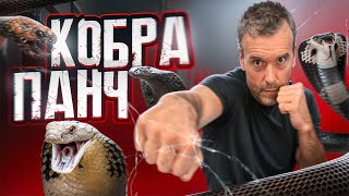 ВЗРЫВНОЙ УДАР! КОБРА ПАНЧ